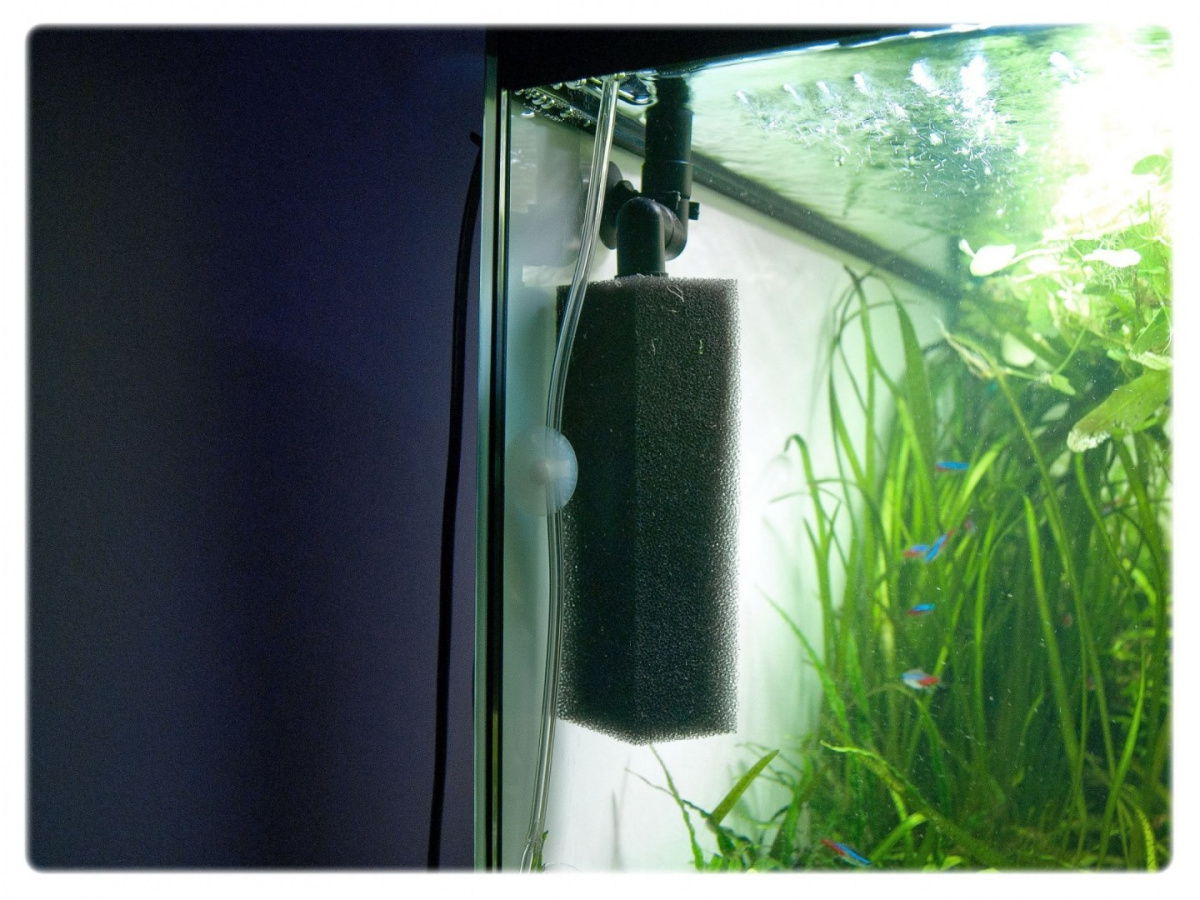 AQUAEL prefiltr UNIMAX 150 250 500 700 gąbka FAN3 Sklep Akwarystyczny.EU